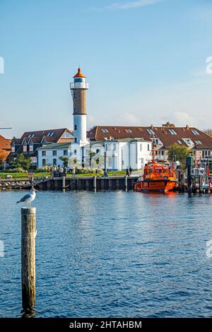 Insel Poel Leuchtturm im Hafen von Timmendorf Strand mit Möwe im Vordergrund, Mecklenburg-Vorpommern, Deutschland, Europa Stockfoto