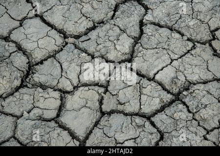 Boden, der trocken und rissig ist Stockfoto