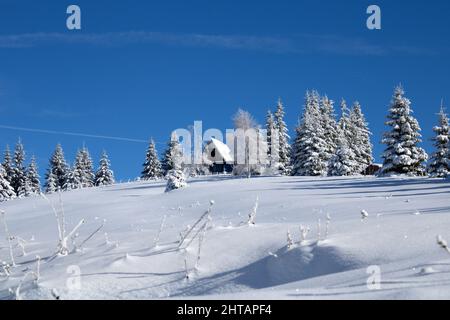 Schöne Landschaft im Winter. Stockfoto