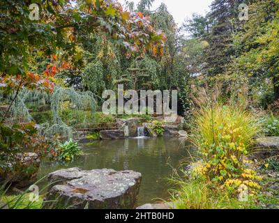 Schöner japanischer Garten in der Stadt Nantes mit einem See und einer Brücke Stockfoto