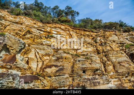 Hawkesbury Sandsteinklippe am Bouddi Point, Maitland Bay, Bouddi National Park, Central Coast, New South Wales, Australien Stockfoto