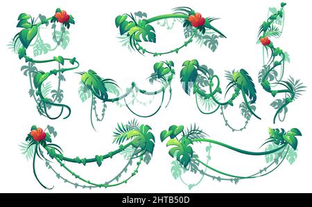 Dschungel kriechend Pflanzen, Lianen mit grünen Blättern und roten Blumen. Vektor Cartoon Satz von Rändern des Kletterns Efeu Reben, lockig hängende Blumenzweige isoliert auf weißem Hintergrund Stock Vektor