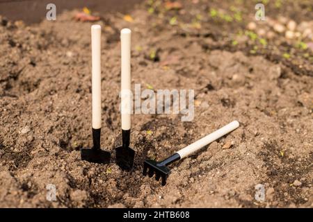 Gartenkonzept. Pflege von Setzlingen im Frühjahr und Vorbereitung für Transplantation.Tools in Bodenoberfläche . Platz kopieren, Draufsicht. Landwirtschaft Stockfoto