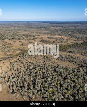 Luftaufnahme des schönen El Palmar Nationalparks in Argentinien Stockfoto