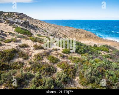 Südlicher Ozean und Dunalvegetation, Whistling Rocks, Streaky Bay, Eyre Peninsula. Stockfoto