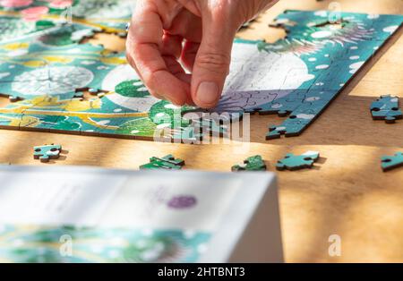 Nahaufnahme von Frauen Hand tun Puzzle im Sonnenschein Lyme Regis Dorset Stockfoto