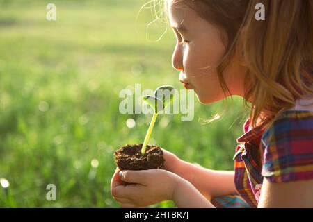 Junge grüne sprießen in den Händen eines Kindes im Licht der Sonne auf einem Hintergrund von grünem Gras. Natürliche Setzlinge, umweltfreundlich, neues Leben, Jugend. T Stockfoto