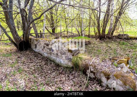 Überreste der Gründung einer verlassenen und zerstörten alten Struktur überwuchert mit Wald und Gras, selektiver Fokus Stockfoto