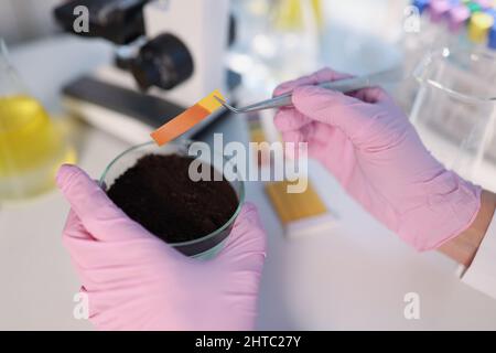 Forscher halten kleine Glaskolben mit Erde und führen pH-Teststreifen durch Stockfoto