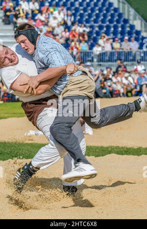 Nahaufnahme eines intensiven Kampfes der Schweizer Ringer bei der NOS 2012 in Silvaplana, Schweiz Stockfoto