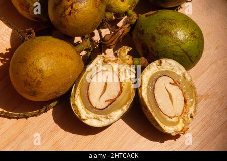 Reife Matoa-Früchte (Pometia pinnata), einheimische Früchte aus Papua, Indonesien Stockfoto