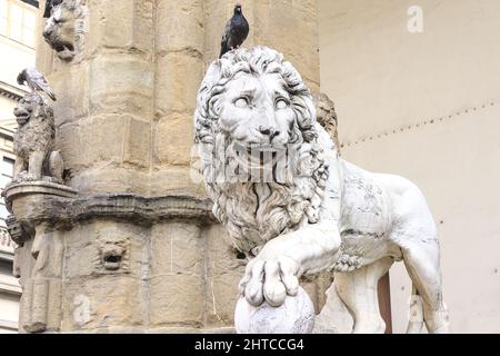 Statue des Marzocco Lion auf der Piazza della Signoria vor dem Palazzo Vecchio in Florenz, Italien Stockfoto