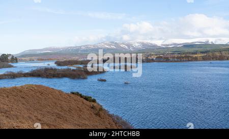 Blick auf Insh Marshes, Schottland, in Überschwemmung. Stockfoto