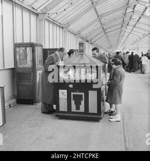 Skegness, East Lindsey, Lincolnshire, 22/05/1954. Erwachsene und Kinder bei einem Spielautomat in einem Vergnügungspark, während einer Laing-Mitarbeiter-Reise nach Skegness. Im Jahr 1947, nach einer siebenjährigen Pause, hatte Laing seine „Ausflüge in die Umgebung“ für Mitarbeiter und ihre Familien wiederbelebt, wobei die Reisen im Mai und Juni stattfinden. Im Jahr 1954 waren sieben Ausflüge geplant, die über fünf Wochen im Mai und Juni stattfinden sollen. Diese Reise nach Skegness war für Mitarbeiter und ihre Familien aus den Midlands und South Yorkshire. Stockfoto