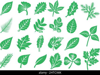 Blattsymbole setzen Vektorgrafik Stock Vektor