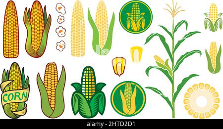 Vektorsymbole für Mais eingestellt (Getreide oder Samen, Stiel, Popcorn, Maiskolben) Stock Vektor