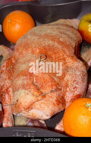 Braten Sie Gans gefüllt mit gebackenen Äpfeln und Orangen in einer Pfanne, festliche Weihnachtsrezept. Draufsicht mit Kopierbereich. Stockfoto