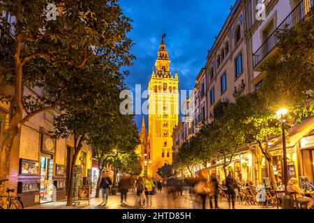 Die belebte Fussgängerzone Calle Mateos Gago und der Glockenturm Giralda der Kathedrale Santa María de la Sede in der Abenddämmerung, Sevilla, Andalu Stockfoto