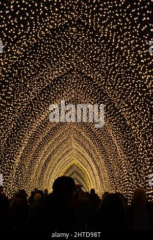 Nahaufnahme der weihnachtlichen Lichtdekorationen im Kew Gardens London, Großbritannien Stockfoto