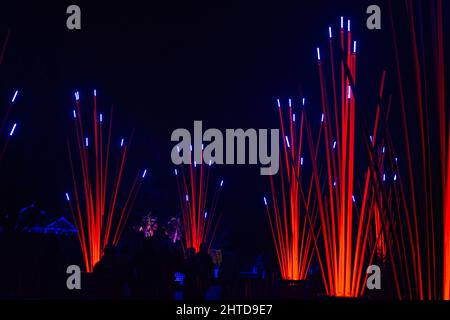 Nahaufnahme der weihnachtlichen Lichtdekorationen im Kew Gardens London, Großbritannien Stockfoto