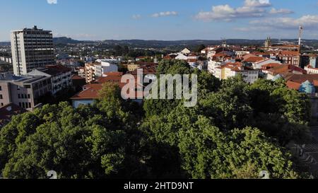 Panoramablick auf Viseu in Portugal Stockfoto