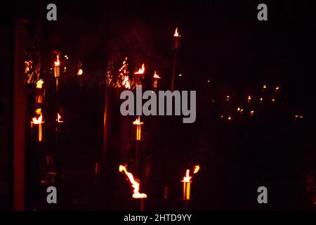 Nahaufnahme der weihnachtlichen Lichtdekorationen im Kew Gardens London, Großbritannien Stockfoto