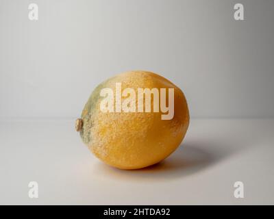 Schimmel auf einer Zitrone auf weißem Hintergrund Stockfoto