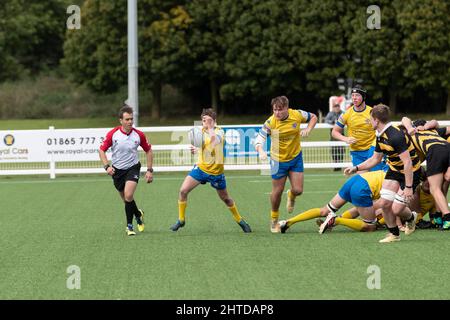 Gosforth Acadamy spielt in Gelb und Blau gegen City of Oxford Collage im Leicester Forest Rugby Football Club. England, Großbritannien. Stockfoto