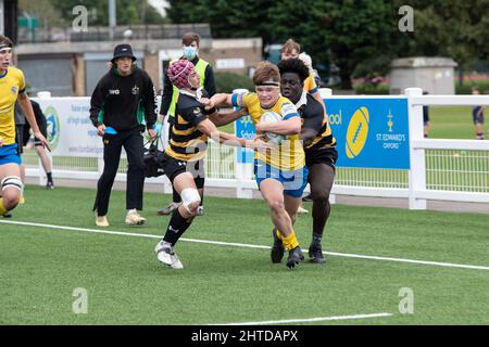 Gosforth Acadamy spielt in Gelb und Blau gegen City of Oxford Collage im Leicester Forest Rugby Football Club. England, Großbritannien. Stockfoto