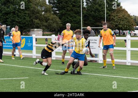 Gosforth Acadamy spielt in Gelb und Blau gegen City of Oxford Collage im Leicester Forest Rugby Football Club. England, Großbritannien. Stockfoto