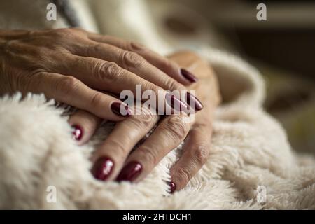 Bordeaux Nageldesign auf frisch gepflegten Händen einer älteren Dame Stockfoto