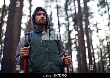 Überwachung der Wildnis. Aufnahme eines hübschen Mannes, der mit Nordic-Walking-Stöcken in einem Kiefernwald unterwegs ist. Stockfoto