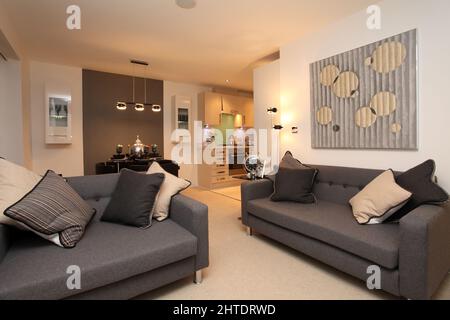 Modernes Studio-Apartment, grau-graue Möbel-Sofa-Couch, Essbereich, Küchenbereich, offener Raum, Wohn-Esszimmer. Stockfoto