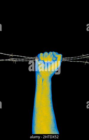 Gelb und blau erhobene Faust mit Stacheldraht. Konzept des Krieges gegen die Ukraine, Kampf für die Freiheit. Isoliert auf schwarzem Hintergrund mit Kopierbereich. Stockfoto