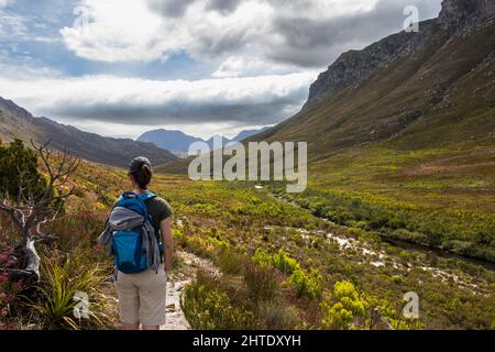 Wandern im wunderschönen Land des Naturparks Kogelberg Stockfoto