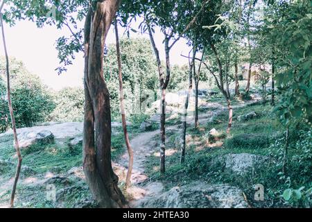 Hin Chang Si Aussichtspunkt Nam Phong Nationalpark Stockfoto