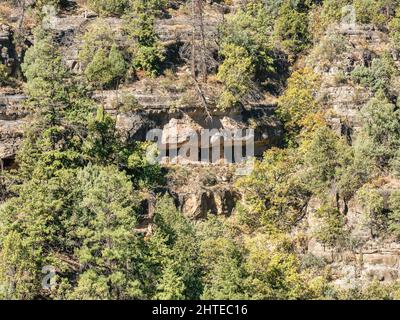 Wohnungen in der Walnut Canyon National Monument in der Nähe von Flagstaff, Arizona, USA Stockfoto