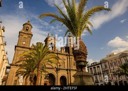 Blick auf die Kathedrale santa ana und die plaza de santa ana mit kanarischen Palmen Stockfoto