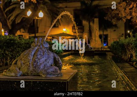 Attraktive Platz von hurtado de mendoza oder Las ranas Brunnen zwei Steinfrösche spießen Wasser durch abendliche Straßenlaternen beleuchtet Stockfoto