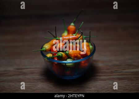 Schüssel mit würzigen Mini-Chilischoten auf einem Holztisch Stockfoto