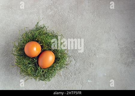 Zwei Hühnereier liegen in einem Nest auf grauem Gips, Platz für Text Stockfoto