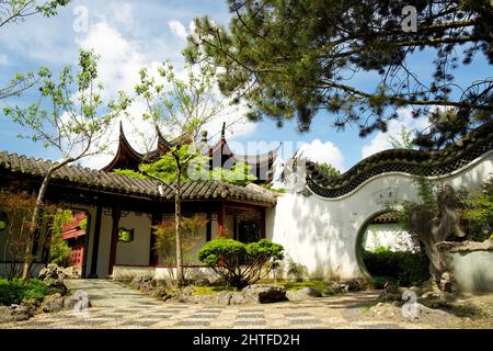 Chinesischer Garten im Hortus botanicus von Groningen im Frühsommer Stockfoto