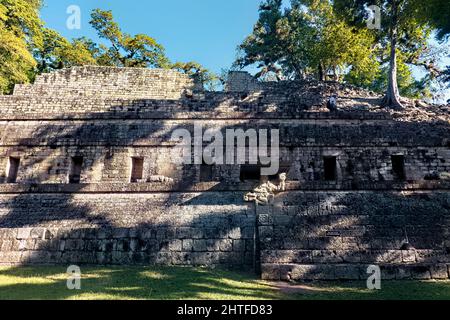 Tempel an der Akropolis in den kopanischen Maya-Ruinen, Copan Ruinas, Honduras Stockfoto