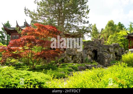 Chinesischer Garten im Hortus botanicus von Groningen im Frühsommer Stockfoto