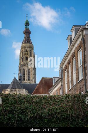 Turm der großen Kirche von Breda, lokal bekannt als Grote Kerk, aus dem nahe gelegenen Hof gesehen Stockfoto