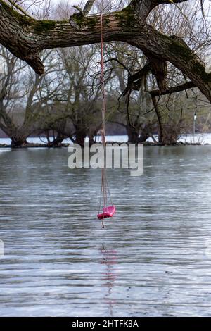 Schwingt auf dem Baum über dem Wasser Stockfoto