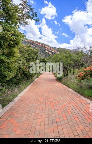 Blick auf einen von Bäumen und Sträuchern umgebenen Wanderweg in einer bergigen Gegend in Walter Sisulu National Botanical Gardens, Johannesburg, Südafrika Stockfoto