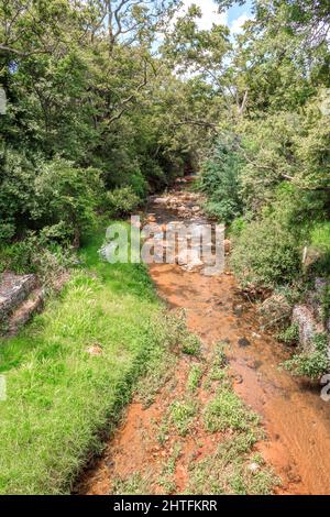 Blick auf einen von Bäumen und Sträuchern umgebenen Fluss in einer bergigen Gegend in Walter Sisulu National Botanical Gardens, Johannesburg, Südafrika Stockfoto