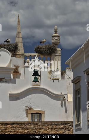 Storch Nester-neoklassizistischen Stadtbogen top-Arco da Vila-Altstadt Stadtmauer. Faro-Portugal-121 Stockfoto