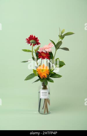 Gerberas in einem mit Wasser gefüllten Glas mit einer Aufschrift „Guten Morgen Sonnenschein“ Stockfoto